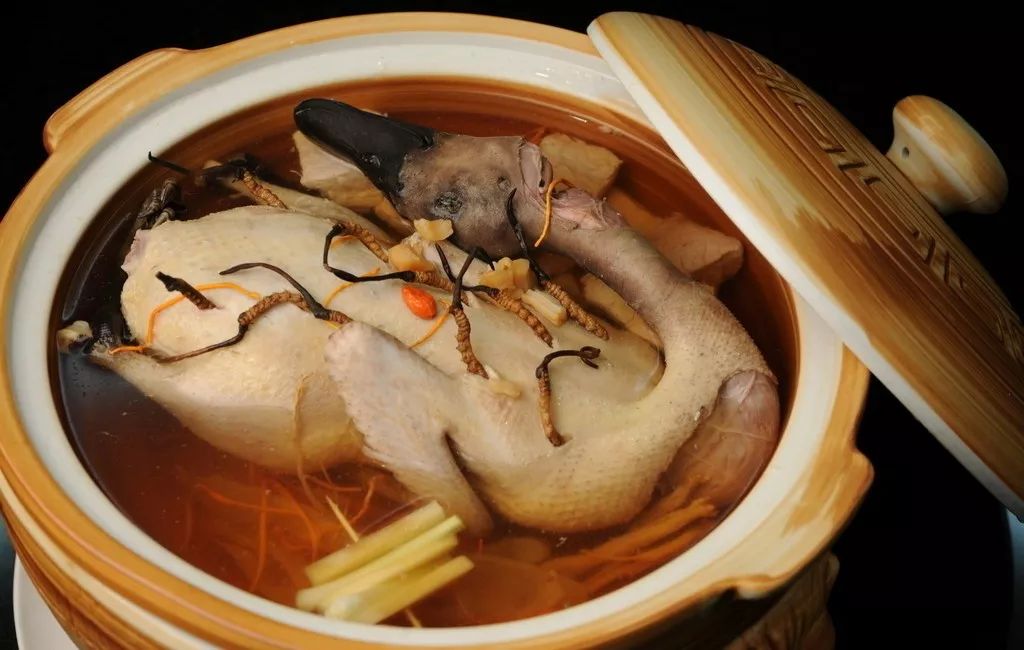 海參老鴨湯怎么做更有營養也更好吃