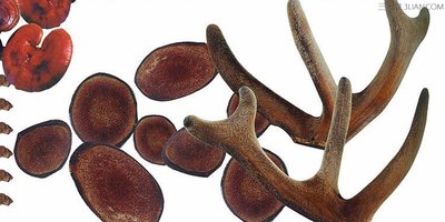 鹿茸分為哪些等級不同的等級之間的區別