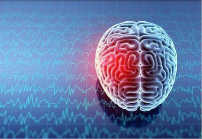 身體內(nèi)各個(gè)器官排毒時(shí)間應(yīng)該如何調(diào)整