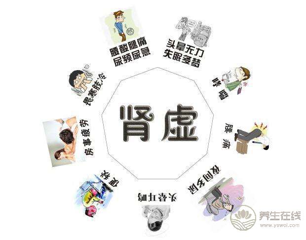 腎虛不可不知的食療方子