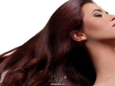 食療加日常護理   還你烏黑秀發