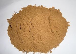 靈芝粉的食用方法靈芝粉應(yīng)該如何食用