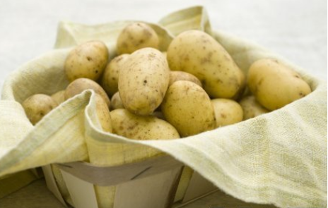 龍葵素是什么龍葵素中毒應該怎么解