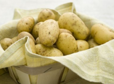 龍葵素是什么龍葵素中毒應該怎么解