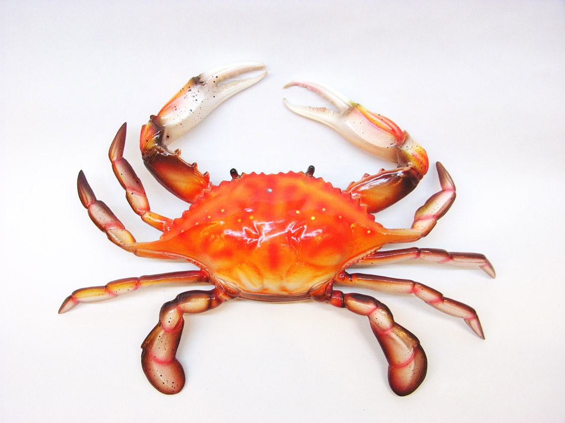 蟹子和葡萄兩種食材是否適合同時(shí)食用