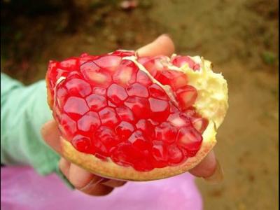 石榴的養生功效石榴和什么搭配榨汁