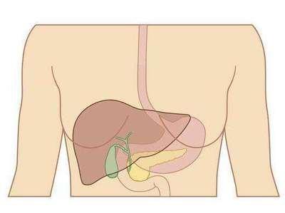 肝功能的常見的檢查項目有哪幾種