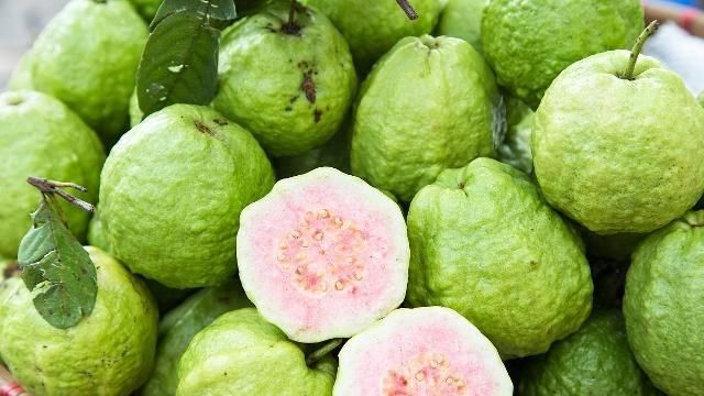 石榴和番石榴的區別和食療的作用