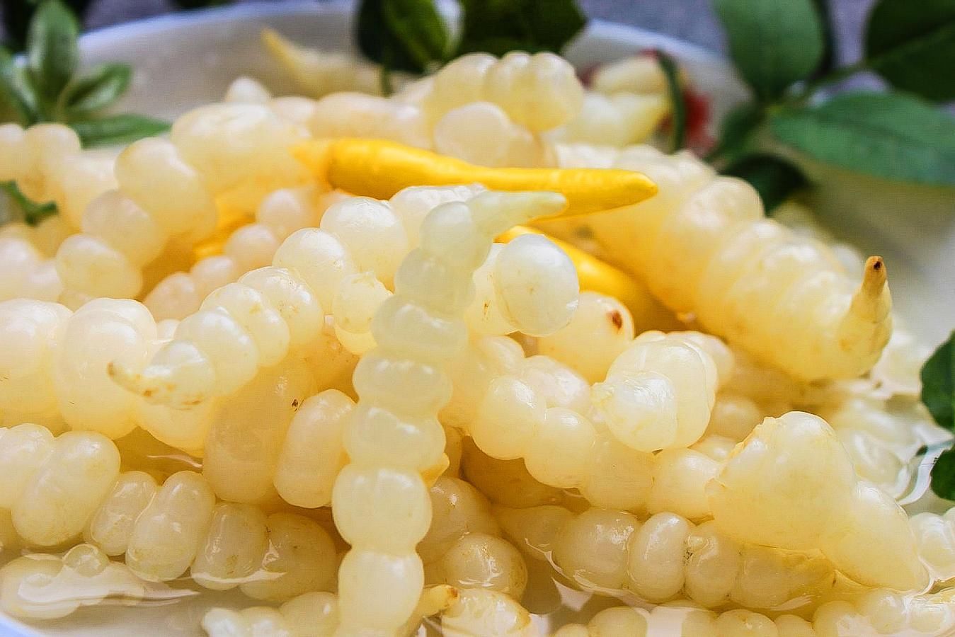 我們平時經常吃的地環是否可以生吃呢-易網健康<a href=http://www.gyfww.com/jkys/ target=_blank class=infotextkey>養生</a>網 我們平時經常吃的地環是否可以生吃呢