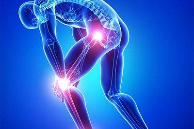 關(guān)節(jié)具體指的是身體中的哪個部位