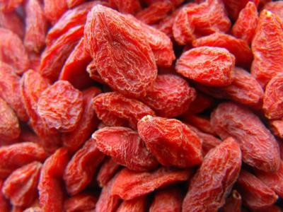 服用枸杞對于身體有哪些方面的好處