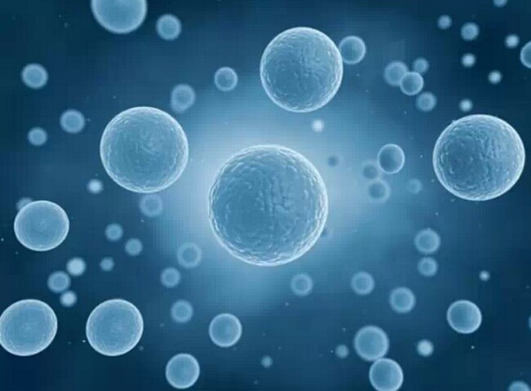 如何消耗身體中含量過多的脂肪占比-易網健康<a href=http://www.gyfww.com/jkys/ target=_blank class=infotextkey>養生</a>網 如何消耗身體中含量過多的脂肪占比