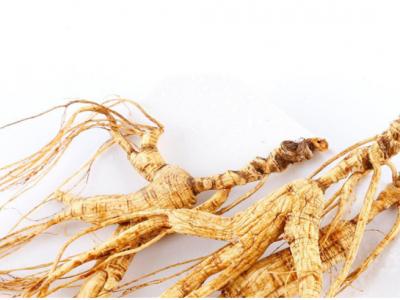 人參和什么一起燉既有營養又好吃