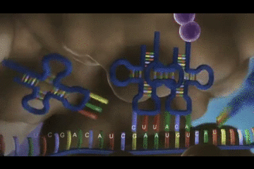 天天養生，為什么還是營養不良，而且全身都是??？