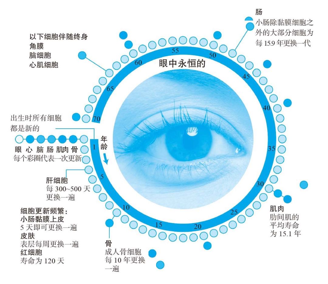 天天養生，為什么還是營養不良，而且全身都是?。? crossorigin=