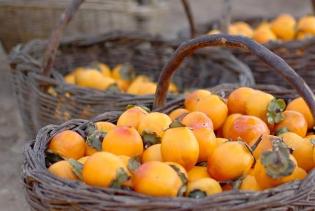 柿子泡酒的功效以及柿子泡酒的方法