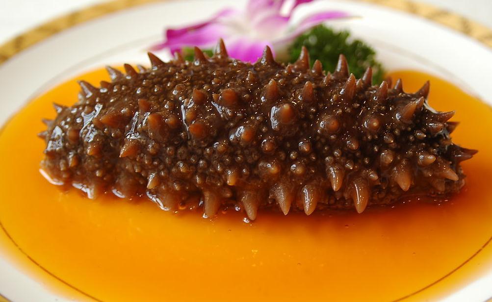 海參有哪些養生功效海參的十大功效