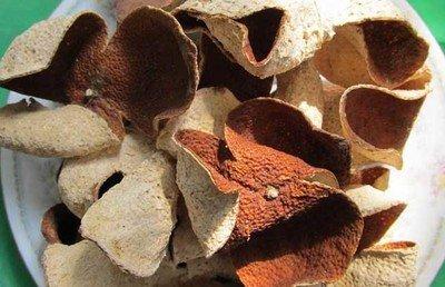 九制陳皮的作用以及服用九制陳皮的危害