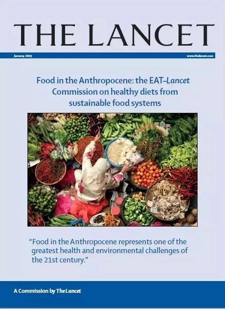 星球健康飲食 了解一下