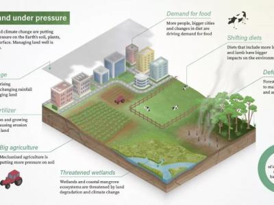 星球健康飲食 了解一下