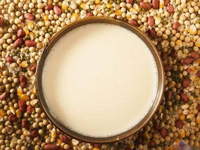 花生想要打成花生豆漿之前需要泡嗎