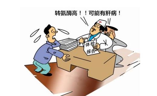 轉氨酶升高代表著什么意思要如何解決-易網健康<a href=http://www.gyfww.com/jkys/ target=_blank class=infotextkey>養生</a>網 轉氨酶升高代表著什么意思要如何解決