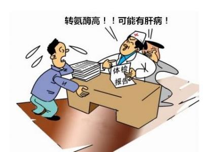 轉(zhuǎn)氨酶升高代表著什么意思要如何解決