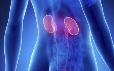 可以有效治療腎炎的中草藥有哪些