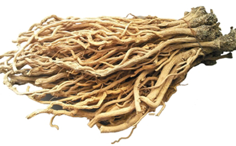 哪些常見的食物不能和板藍根一起吃-易網健康<a href=http://www.gyfww.com/jkys/ target=_blank class=infotextkey>養生</a>網 哪些常見的食物不能和板藍根一起吃