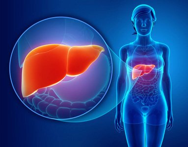 男性肝臟不好具體由哪些方面的表現