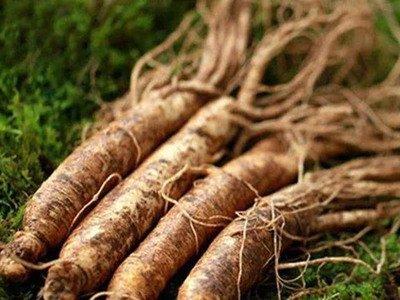 幾個簡單的技巧來區別人參的真假