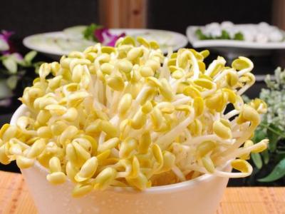 黃豆芽和哪些食材一起炒營(yíng)養(yǎng)更好