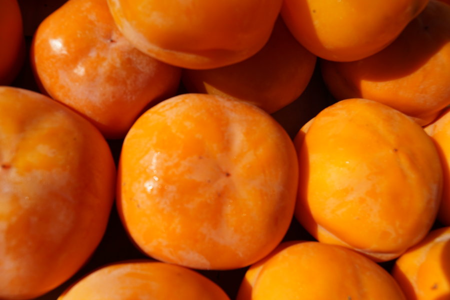 吃柿子有哪些好吃能不能治療痔瘡-易網健康<a href=http://www.gyfww.com/jkys/ target=_blank class=infotextkey>養生</a>網 吃柿子有哪些好吃能不能治療痔瘡