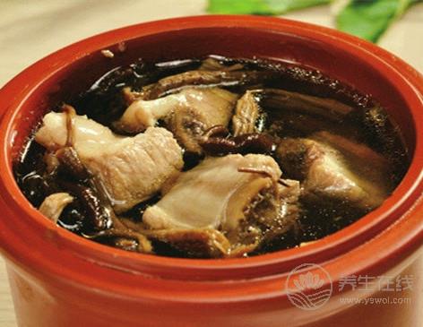 茶樹菇排骨湯的做法 茶樹菇的營養(yǎng)價值