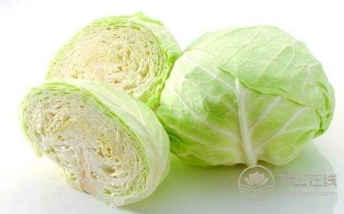 暴強(qiáng)減肥食譜　素炒圓白菜　