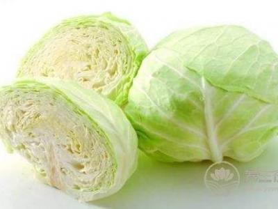 暴強減肥食譜　素炒圓白菜　