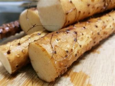 牛蒡的功效有哪些牛蒡是否有著祛濕的功效