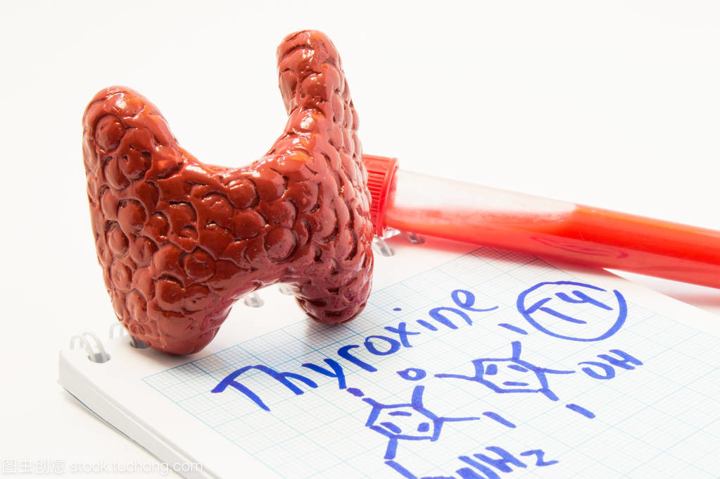 甲狀腺激素的正常值范圍區(qū)間是多少