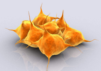 血小板的數(shù)值范圍處于多少屬于正常-易網(wǎng)健康<a href=http://www.gyfww.com/jkys/ target=_blank class=infotextkey>養(yǎng)生</a>網(wǎng) 血小板的數(shù)值范圍處于多少屬于正常