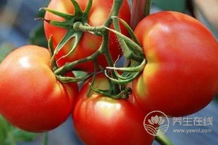 多吃西紅柿有什么好處?西紅柿營(yíng)養(yǎng)價(jià)值有哪些?