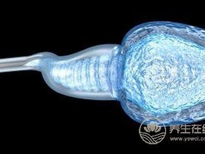 精子有什么好處?精子有什么功效?