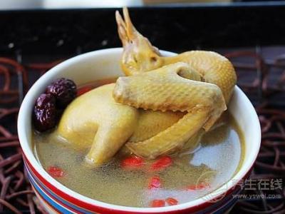 鴿子湯怎么燉最營(yíng)養(yǎng) 鴿子湯的做法