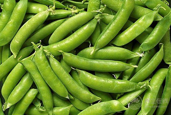 9種美顏蔬果讓你肌膚美麗動人