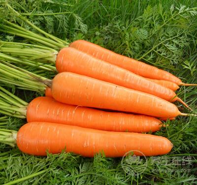 9種美顏蔬果讓你肌膚美麗動人