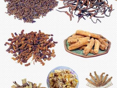 哪些中藥可以比較有效的抑制癌細胞-易網健康<a href=http://www.gyfww.com/jkys/ target=_blank class=infotextkey>養生</a>網 哪些中藥可以比較有效的抑制癌細胞