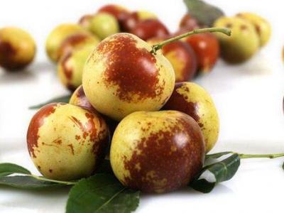 冬棗應(yīng)該如何儲(chǔ)存營(yíng)養(yǎng)保留的更好