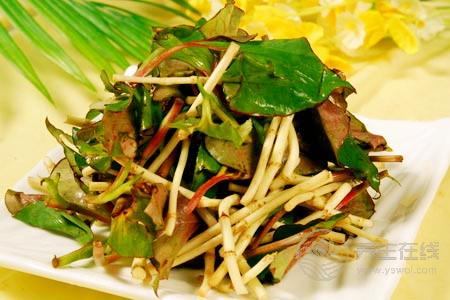 魚腥草減肥小妙招 魚腥草泡水可快速減肥