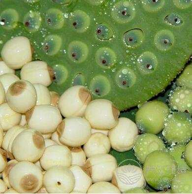 如何才能獲得更好的排毒養(yǎng)顏效果