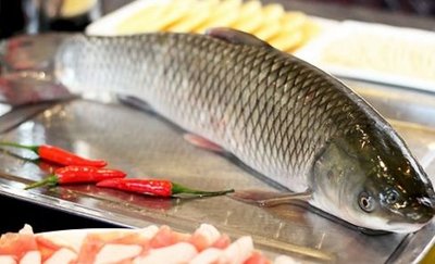 草魚應該怎么做給寶寶吃營養更好