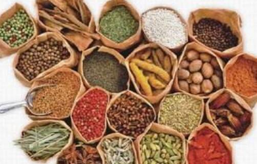 想要補血補氣效果需要泡水喝的藥材